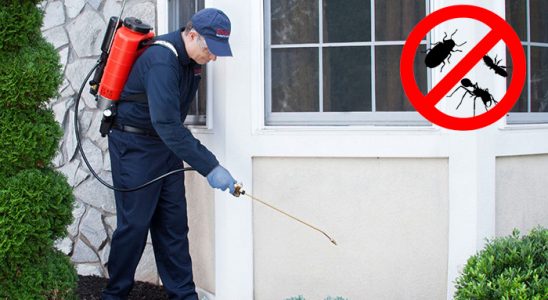 Küre Haşere İlaçlama böcek ilaçlama ve haşere kontrolü — ilaclama-tr.com